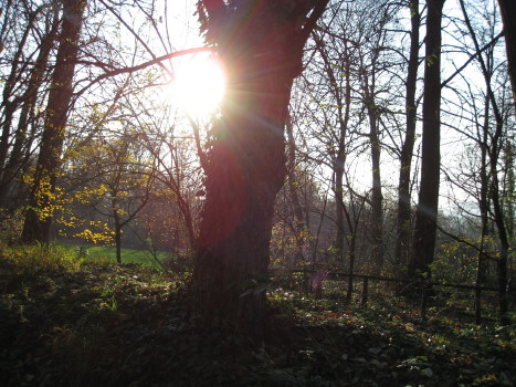 f0077159_663748.jpg
