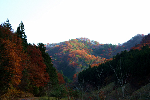 c0107861_20121770.jpg
