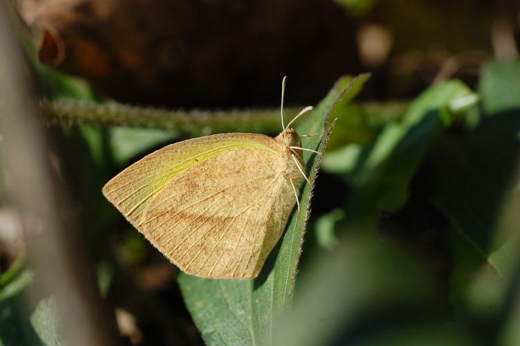 b0167762_1429270.jpg