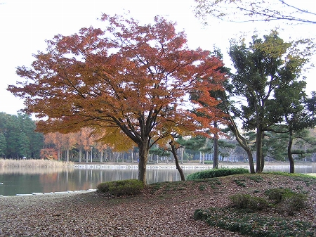 b0145863_1213717.jpg