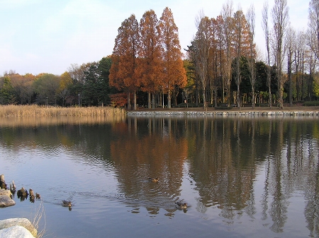 b0145863_12174.jpg