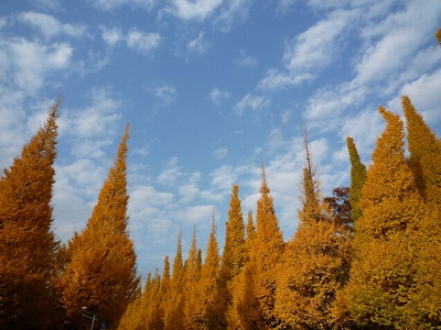 b0145863_1816256.jpg