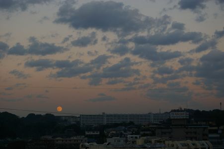 f0077663_9384592.jpg