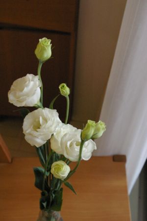 f0077663_9412865.jpg