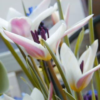 f0131263_13950100.jpg