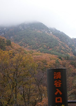 a0039366_0385390.jpg