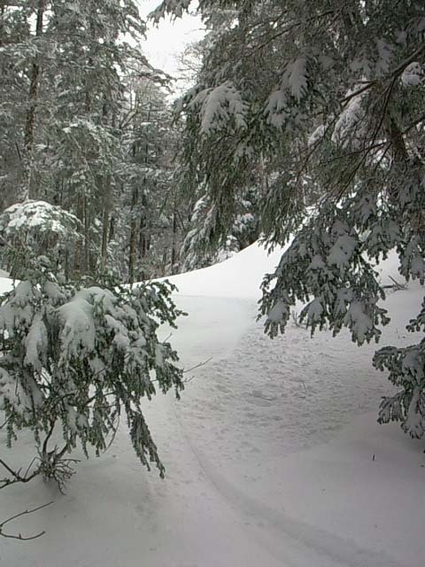 e0187567_81567.jpg