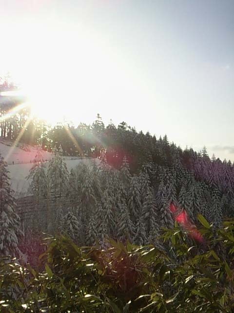 e0187567_8165326.jpg