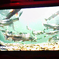 a0050669_23262993.jpg