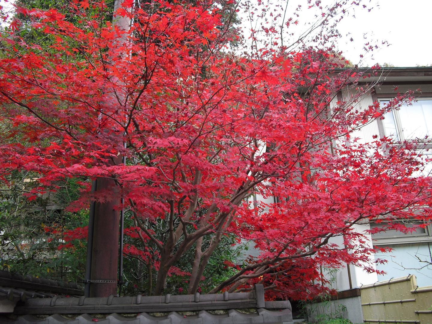 c0213470_4272358.jpg