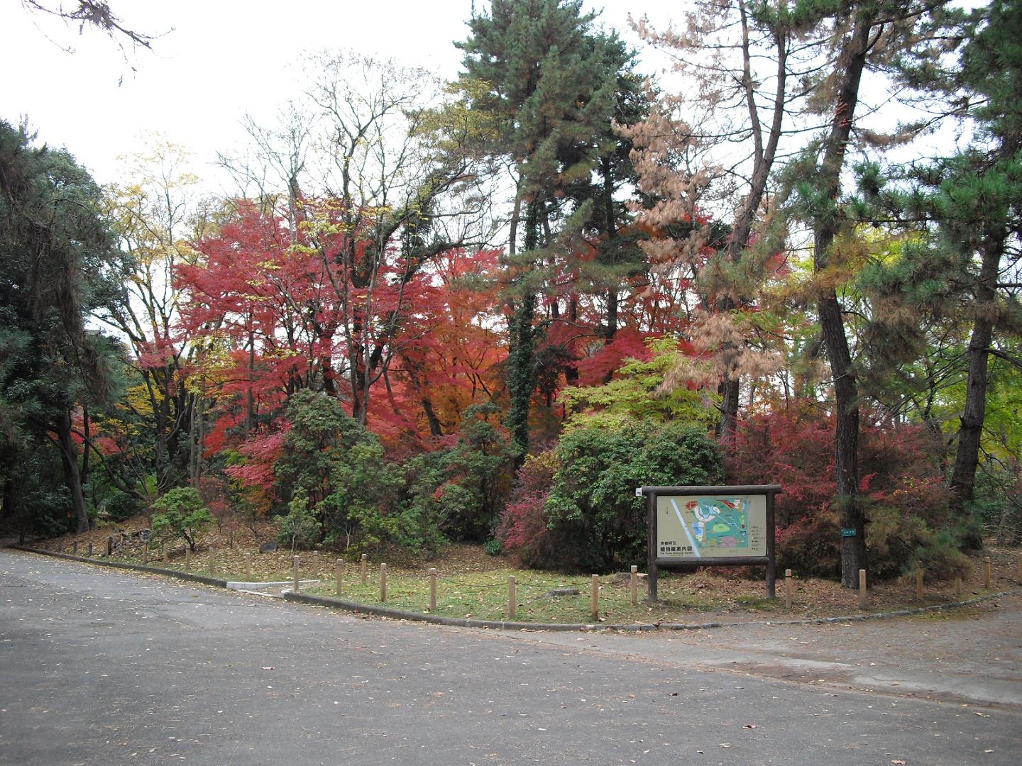 c0213470_4495572.jpg