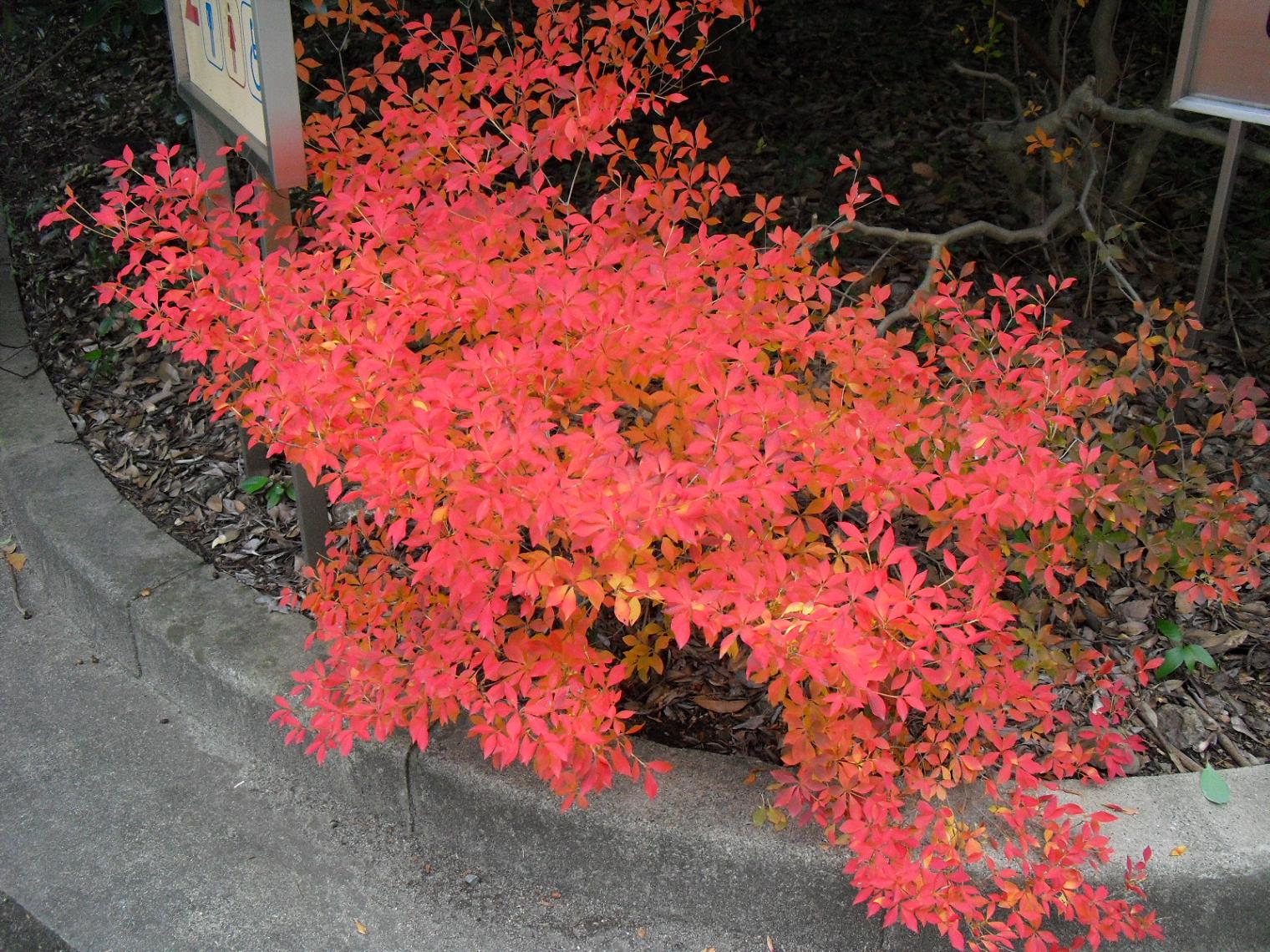 c0213470_451746.jpg