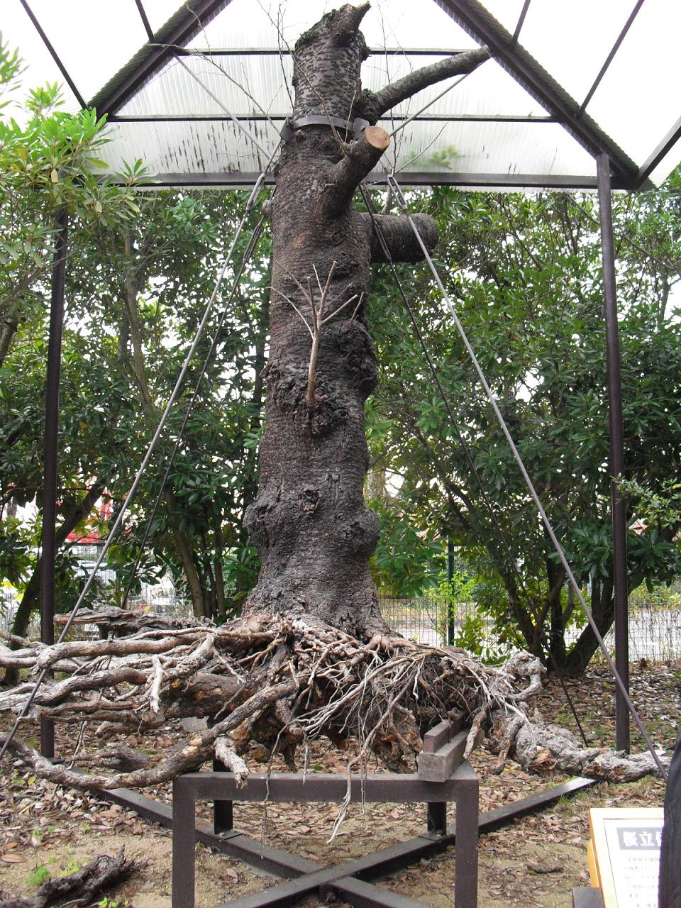 c0213470_729187.jpg