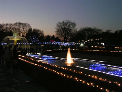c0112172_2005425.jpg