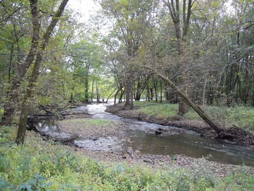 e0098472_22341352.jpg