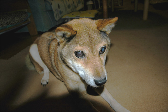 e0135972_22165194.jpg