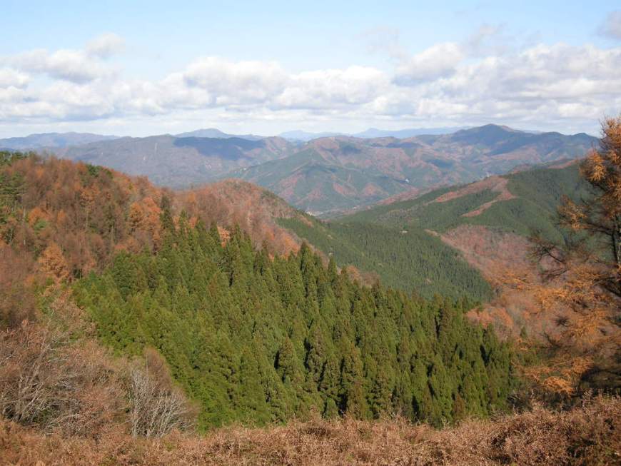 b0185573_51679.jpg