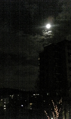 c0061774_18445198.jpg