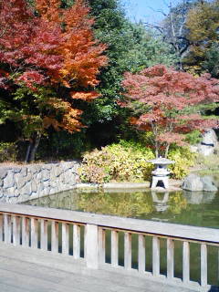c0189683_1818445.jpg