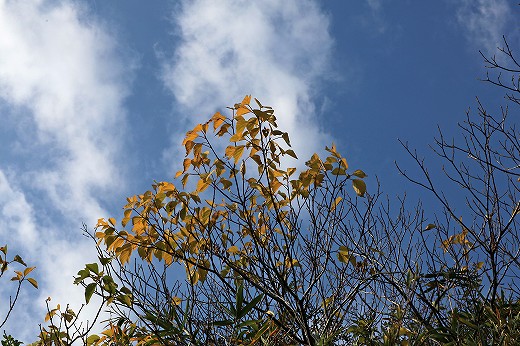 e0190885_1447566.jpg