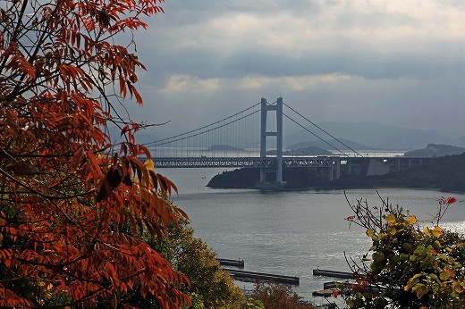 e0190885_14481231.jpg
