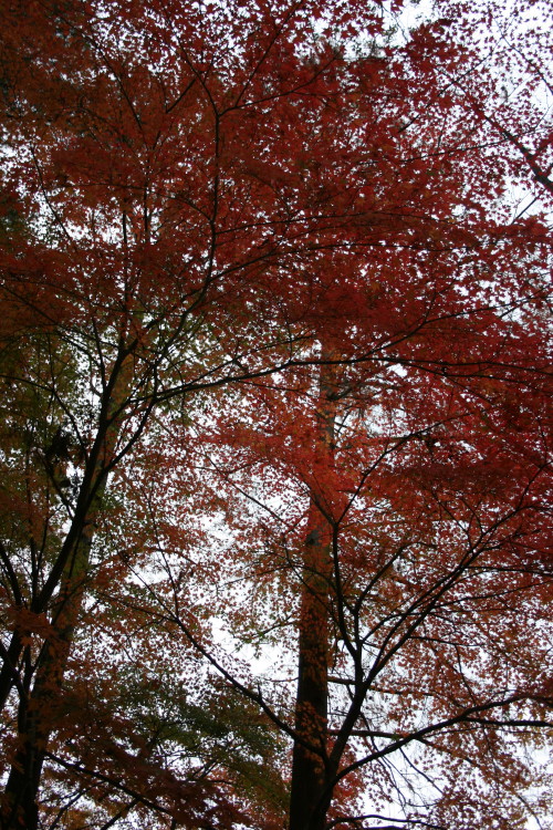 b0118987_612258.jpg