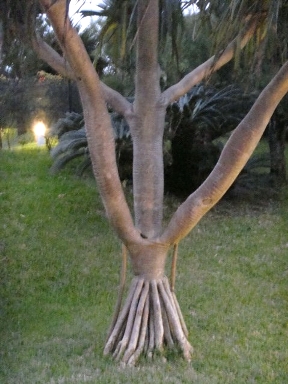 b0075888_13585416.jpg