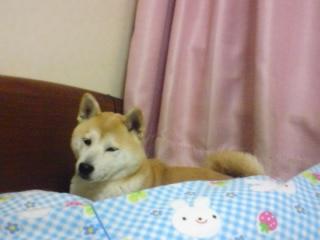 c0123890_16315536.jpg