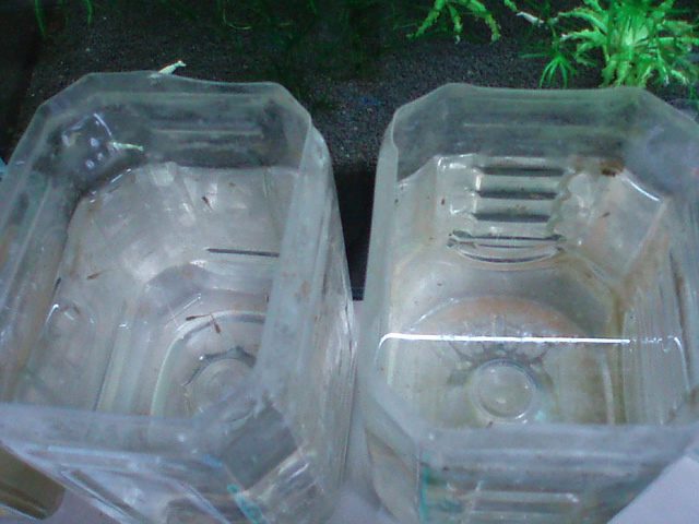 e0192991_22544151.jpg