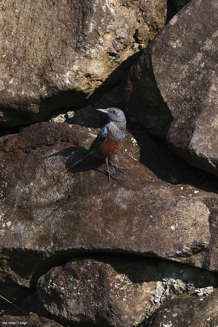b0136792_2113348.jpg