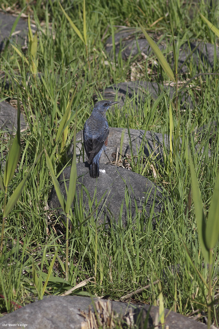 b0136792_21141261.jpg