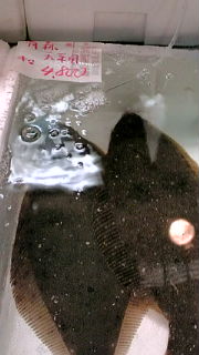f0084695_100359.jpg