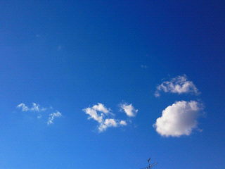 b0160300_22392876.jpg