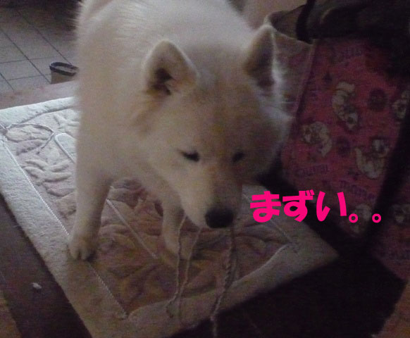e0018604_13424430.jpg