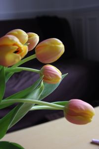 e0094906_17183744.jpg
