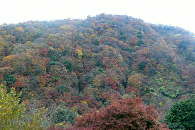 f0167007_1101141.jpg