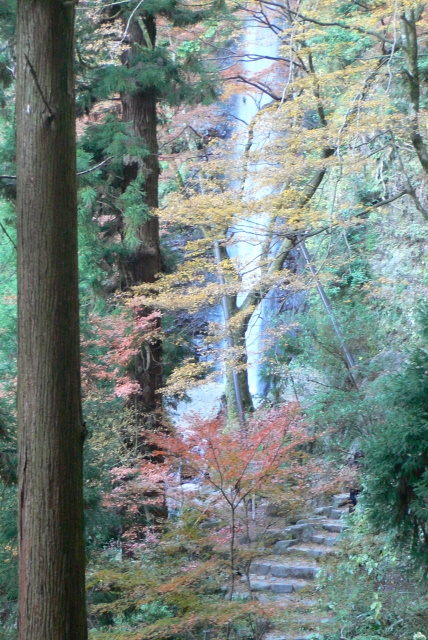 f0167007_1293929.jpg