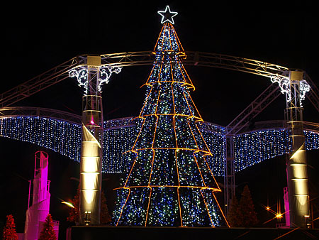 a0041508_17491382.jpg