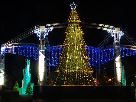a0041508_17505844.jpg