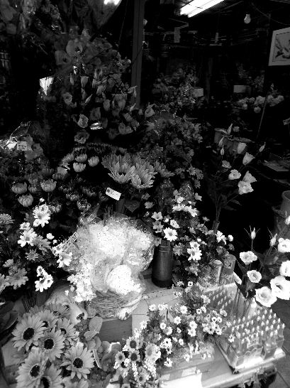 e0102408_2316352.jpg