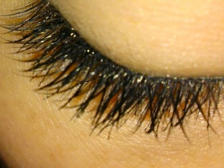 b0184211_15525384.jpg