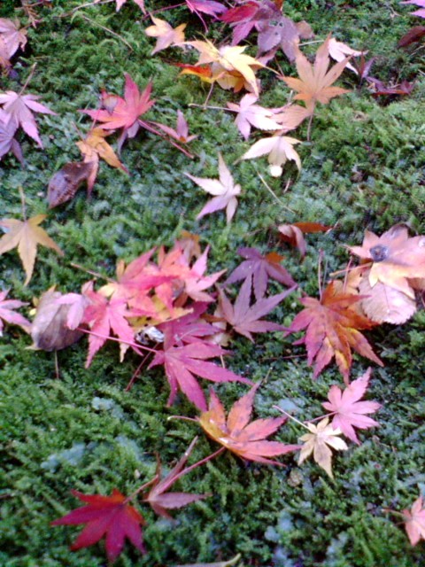 e0099212_20103328.jpg