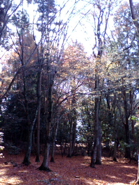 e0099212_20104484.jpg