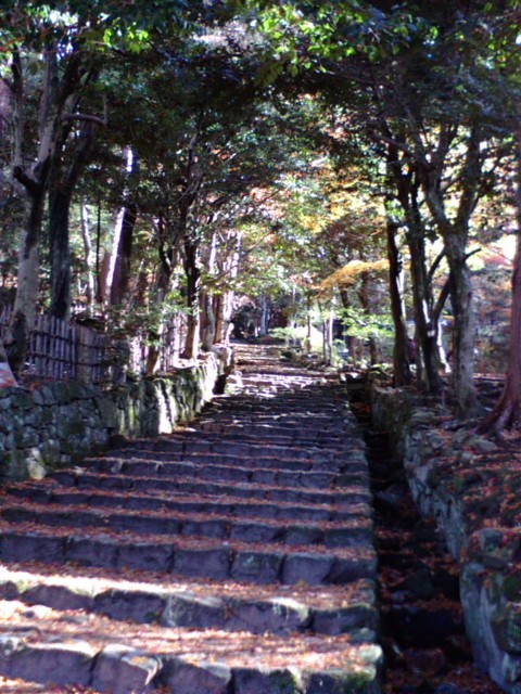 e0099212_20105629.jpg