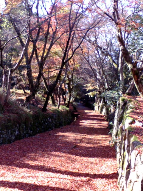 e0099212_20113838.jpg