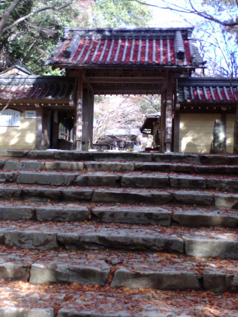 e0099212_2026778.jpg
