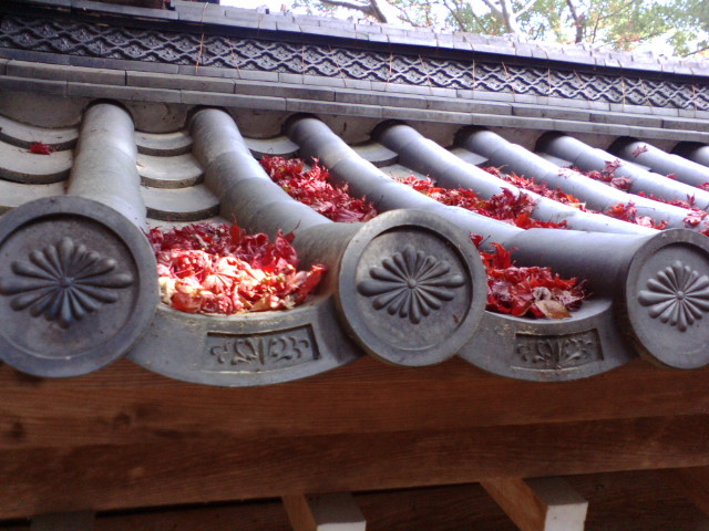 e0099212_20281534.jpg