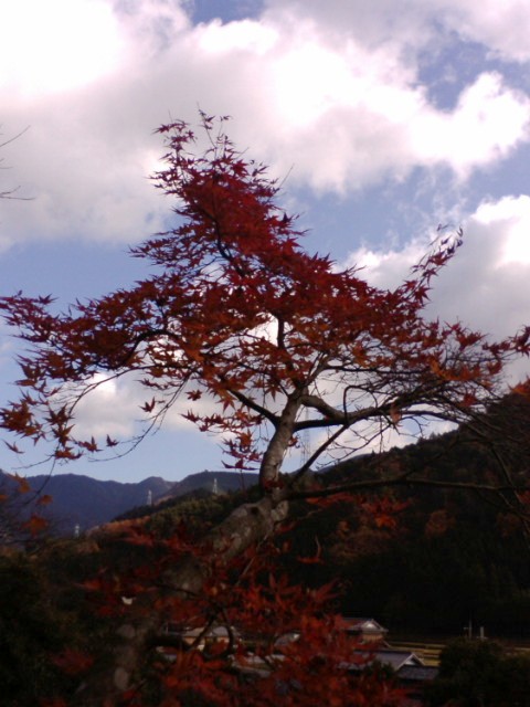 e0099212_20291993.jpg