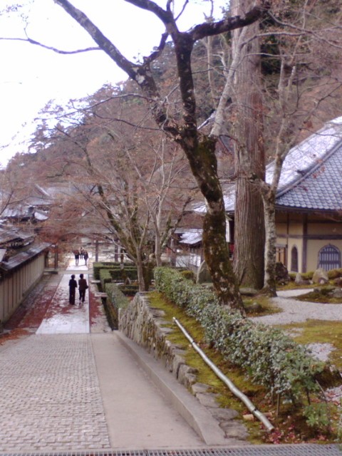 e0099212_2031086.jpg