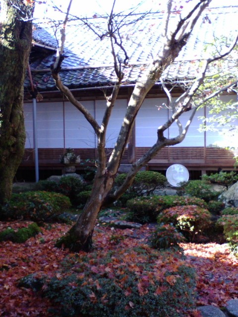 e0099212_2055232.jpg